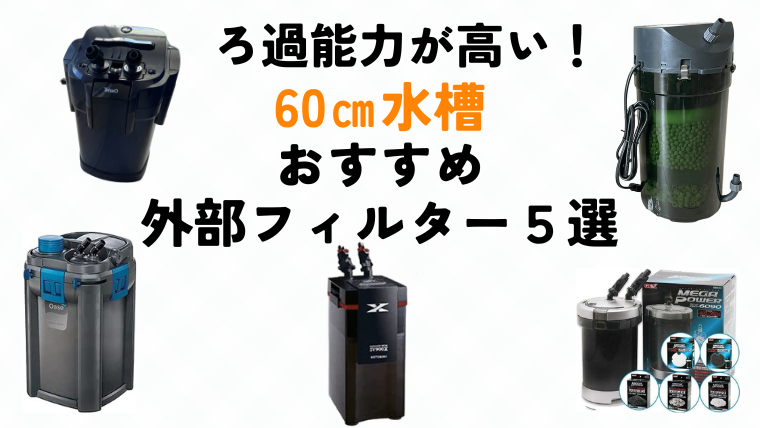 【ろ過能力最強】60cm水槽外部フィルターおすすめ５選を徹底解説！～選び方や各メーカーの特徴も～